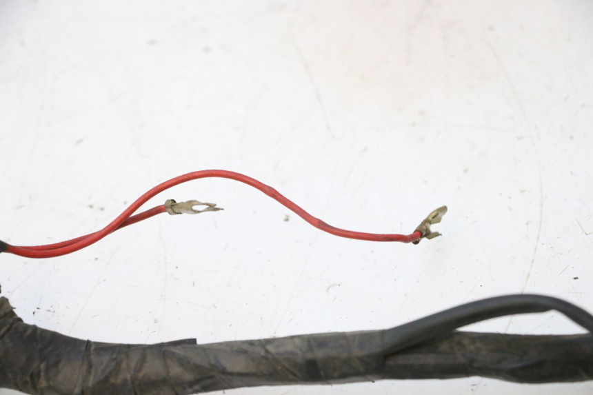 photo de CABLEADO SYM MIO 50 (2005 - 2010) - Vista general del producto