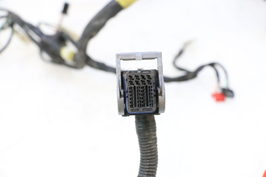 photo de CABLEADO KYMCO MOVIE S 125 (2009 - 2018) - Primer plano técnico