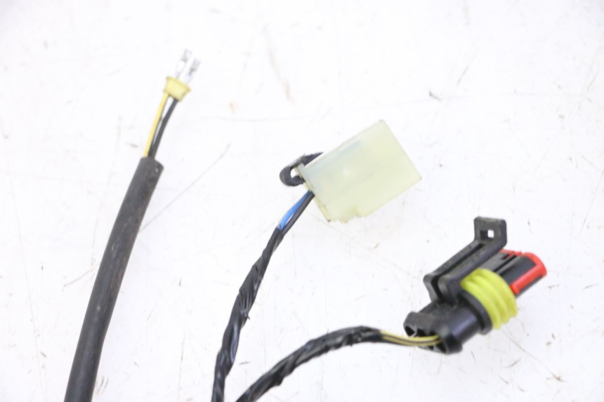 photo de CABLEADO PIAGGIO MP3 HPE 310 (2024 - 2025) - Zoom estado de uso