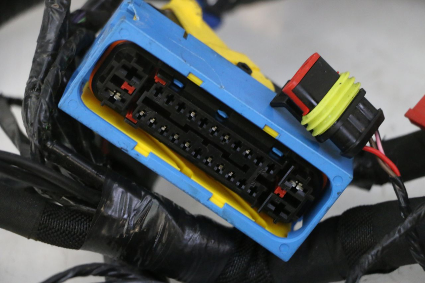 photo de CABLEADO PIAGGIO MP3 HPE 310 (2024 - 2025) - Primer plano técnico