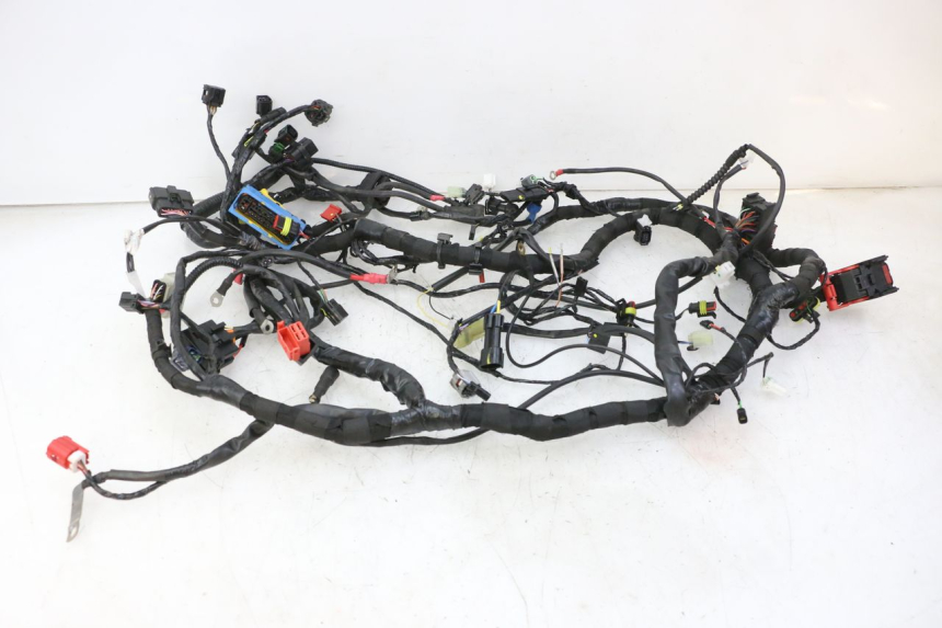 photo de CABLEADO PIAGGIO MP3 HPE 310 (2024 - 2025) - Vista general del producto