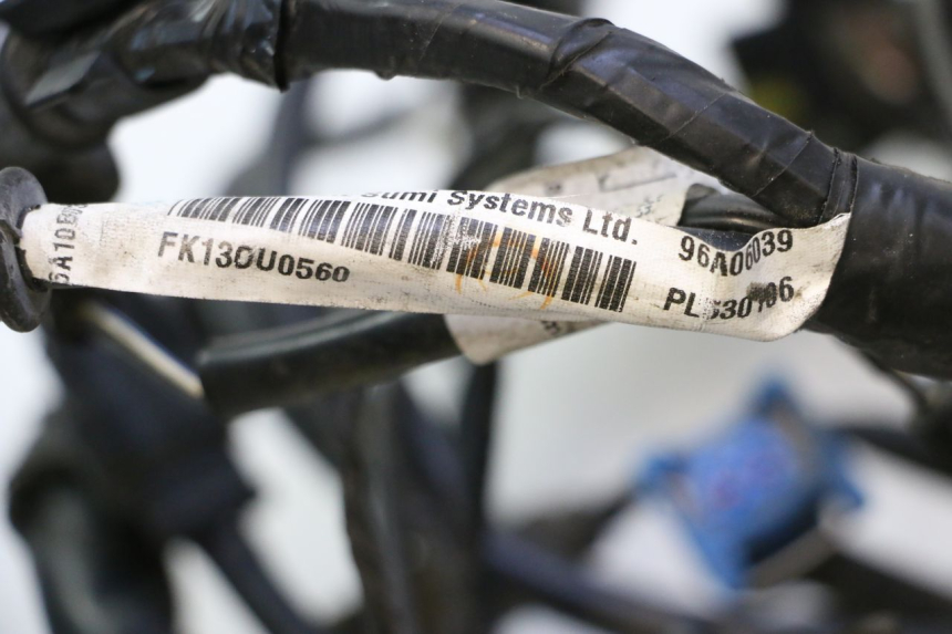 photo de CABLEADO PIAGGIO MP3 LT 300 (2010 - 2016) - Detalle de la pieza