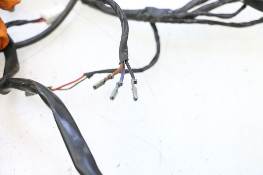 photo de CABLEADO PIAGGIO MP3 LT 400 (2007 - 2012) - Vista general del producto