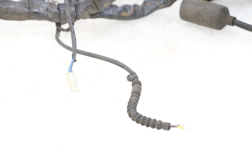 photo de CABLEADO PIAGGIO MP3 500 (2011 - 2015) - Vista general del producto