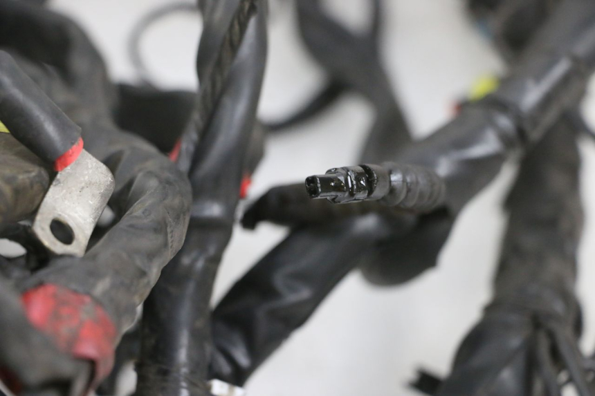 photo de CABLEADO PIAGGIO MP3 RL 250 (2006 - 2010) - Detalle de la pieza