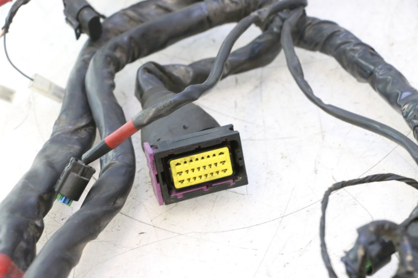 photo de CABLEADO PIAGGIO MP3 500 (2016 - 2018) - Características distintivas