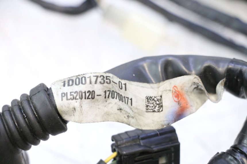 photo de CABLEADO PIAGGIO MP3 500 (2016 - 2018) - Primer plano técnico