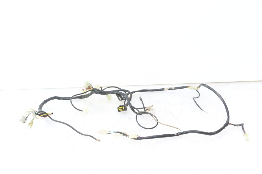photo de CABLEADO RIEJU MRT PRO SUPERMOTARD 50 (2007 - 2018) - Vista principal