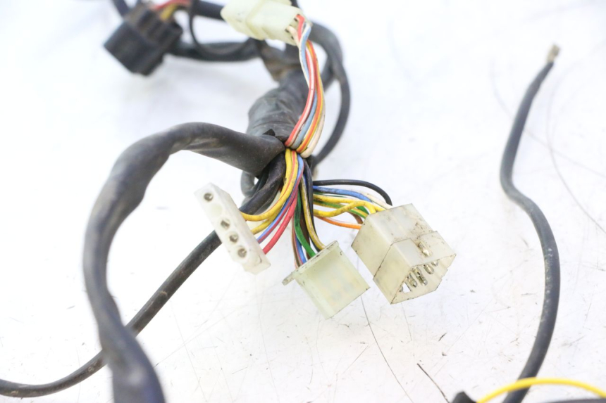 photo de CABLEADO RIEJU MRT PRO SUPERMOTARD 50 (2007 - 2018) - Zoom sobre los componentes