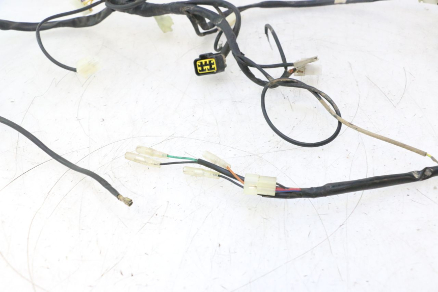 photo de CABLEADO RIEJU MRT PRO SUPERMOTARD 50 (2007 - 2018) - Primer plano técnico
