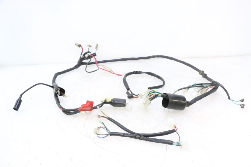 photo de CABLEADO IMF INDUSTRIE NEW PACH 2T 50 (2014 - 2020) - Vista principal