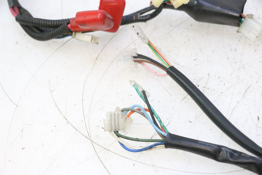 photo de CABLEADO IMF INDUSTRIE NEW PACH 2T 50 (2014 - 2020) - Características distintivas