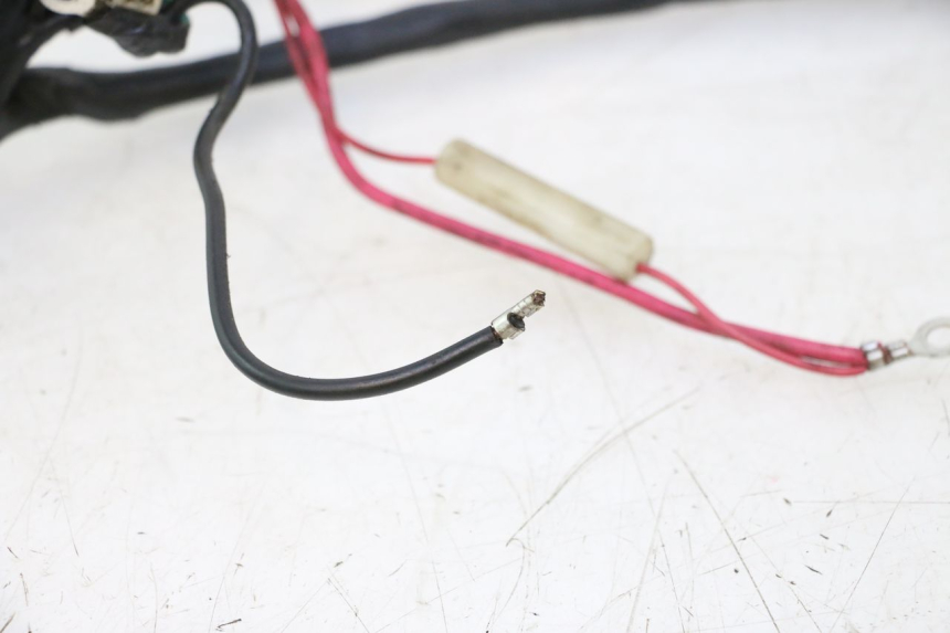photo de CABLEADO IMF INDUSTRIE NEW PACH 2T 50 (2014 - 2020) - Otra perspectiva