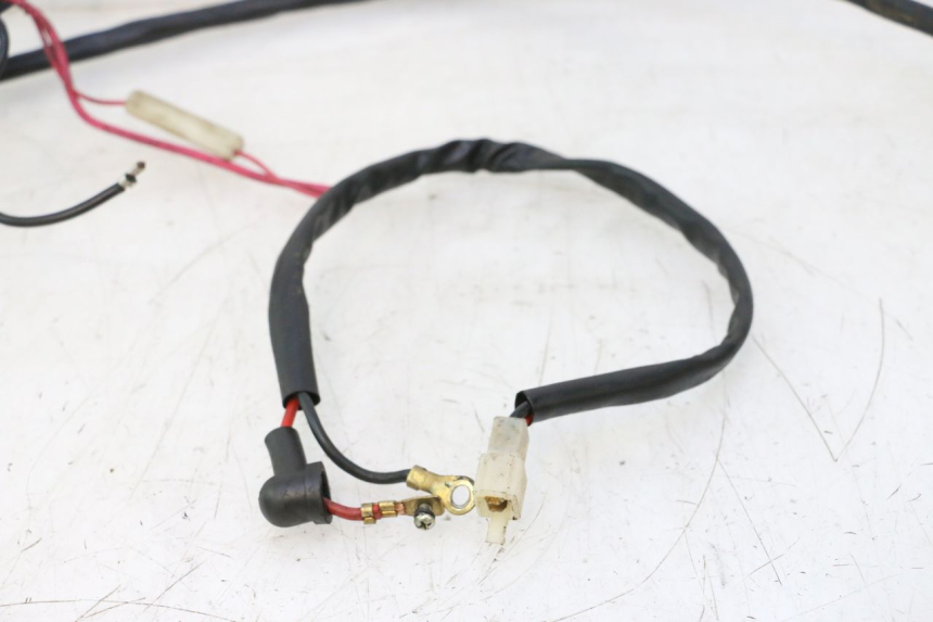 photo de CABLEADO IMF INDUSTRIE NEW PACH 2T 50 (2014 - 2020) - Detalles de los puntos de fijación
