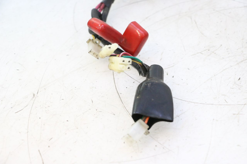 photo de CABLEADO IMF INDUSTRIE NEW PACH 2T 50 (2014 - 2020) - Marcados y referencias originales
