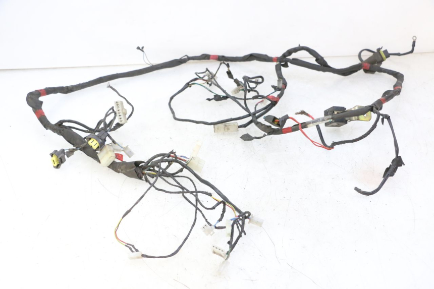 photo de CABLEADO PIAGGIO NEW TYPHOON 50 (2010 - 2017) - Vista principal
