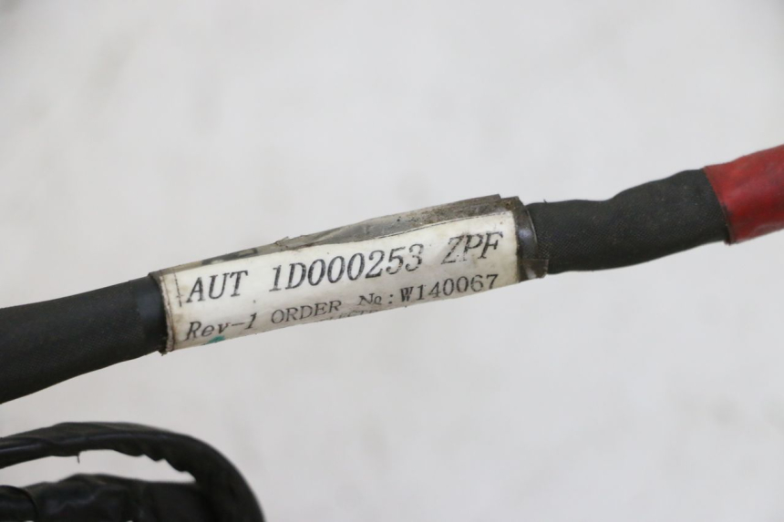 photo de CABLEADO PIAGGIO NEW TYPHOON 50 (2010 - 2017) - Detalle de la pieza