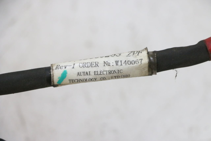 photo de CABLEADO PIAGGIO NEW TYPHOON 50 (2010 - 2017) - Zoom estado de uso