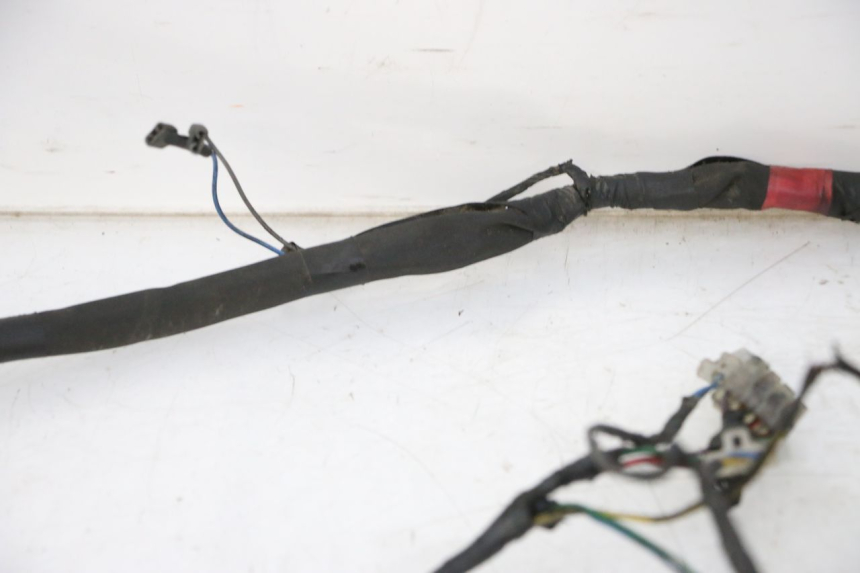 photo de CABLEADO PIAGGIO NEW TYPHOON 50 (2010 - 2017) - Marcados y referencias originales