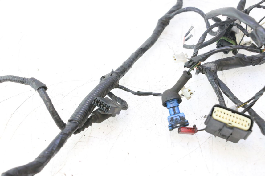 photo de CABLEADO PIAGGIO NEW TYPHOON 50 (2018 - 2021) - Otra vista del artículo