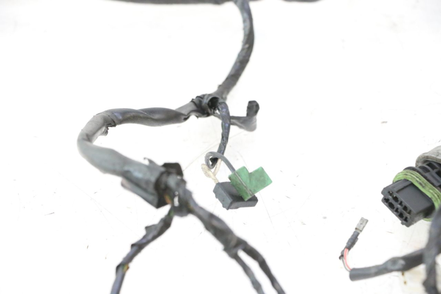 photo de CABLEADO PIAGGIO NEW TYPHOON 50 (2018 - 2021) - Primer plano técnico