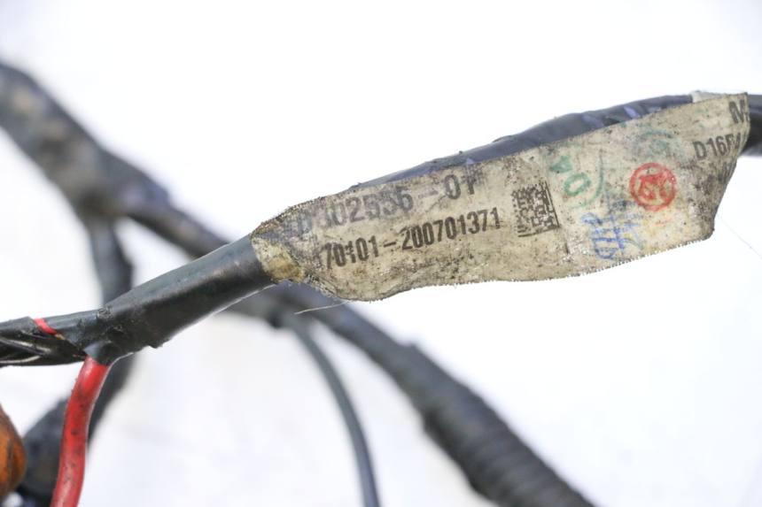photo de CABLEADO PIAGGIO NEW TYPHOON 50 (2018 - 2021) - Recambio usado revisado