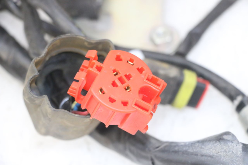 photo de CABLEADO GILERA NEXUS 125 (2009 - 2013) - Zoom sobre los componentes