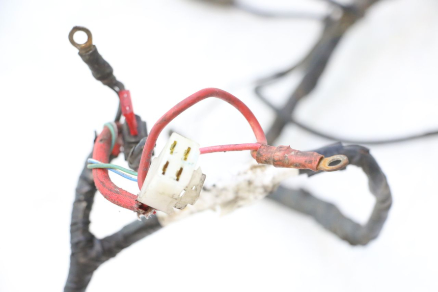 photo de CABLEADO MBK NITRO 50 (2004 - 2008) - Vista principal