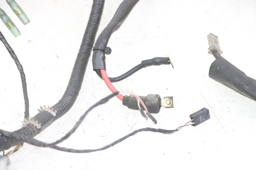 photo de CABLEADO PIAGGIO NRG POWER PUREJET 50 (2018 - 2021) - Recambio usado revisado
