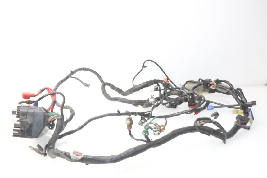 photo de CABLEADO HONDA NSS EX FORZA 250 (2005 - 2013) - Vista principal
