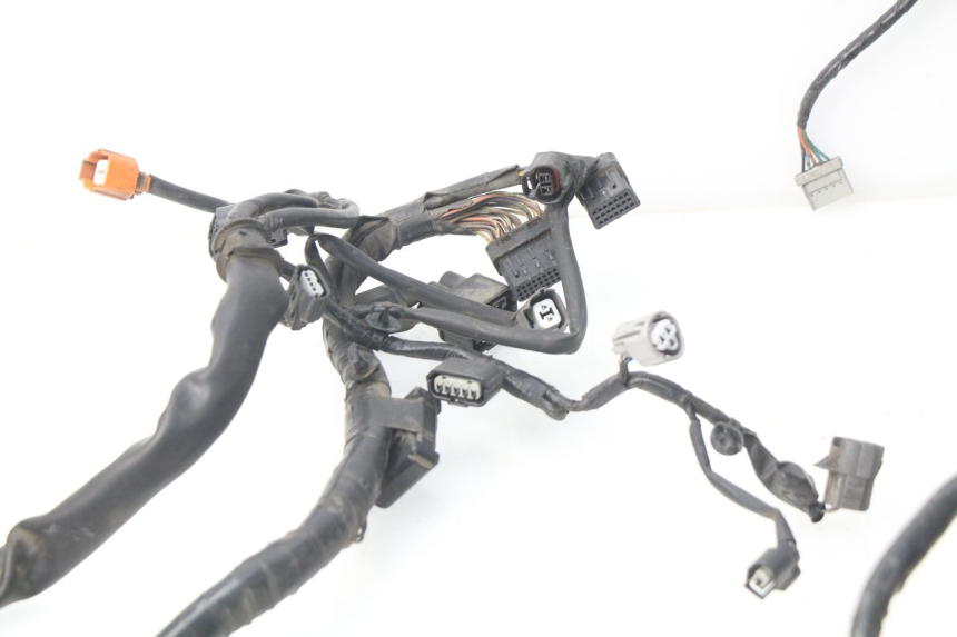 photo de CABLEADO HONDA NSS EX FORZA 250 (2005 - 2013) - Otra perspectiva