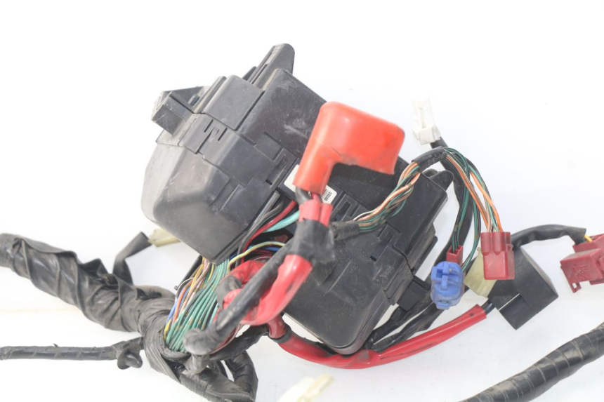 photo de CABLEADO HONDA NSS EX FORZA 250 (2005 - 2013) - Recambio usado revisado