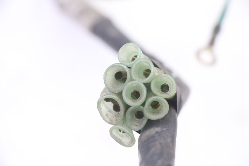 photo de CABLEADO HONDA NTV DEAUVILLE 650 (2001 - 2006) - Otra perspectiva