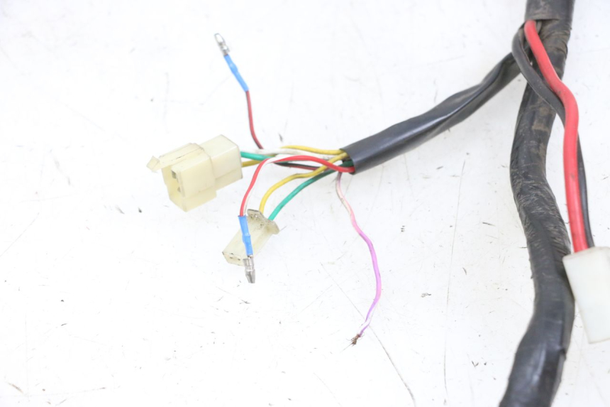 photo de CABLEADO JM MOTORS OLDIES 4T 50 (2010 - 2020) - Primer plano técnico
