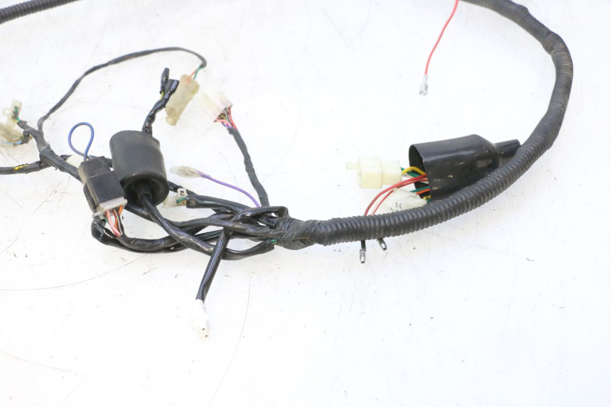 photo de CABLEADO JM MOTORS OLDIES 4T 50 (2010 - 2020) - Características distintivas