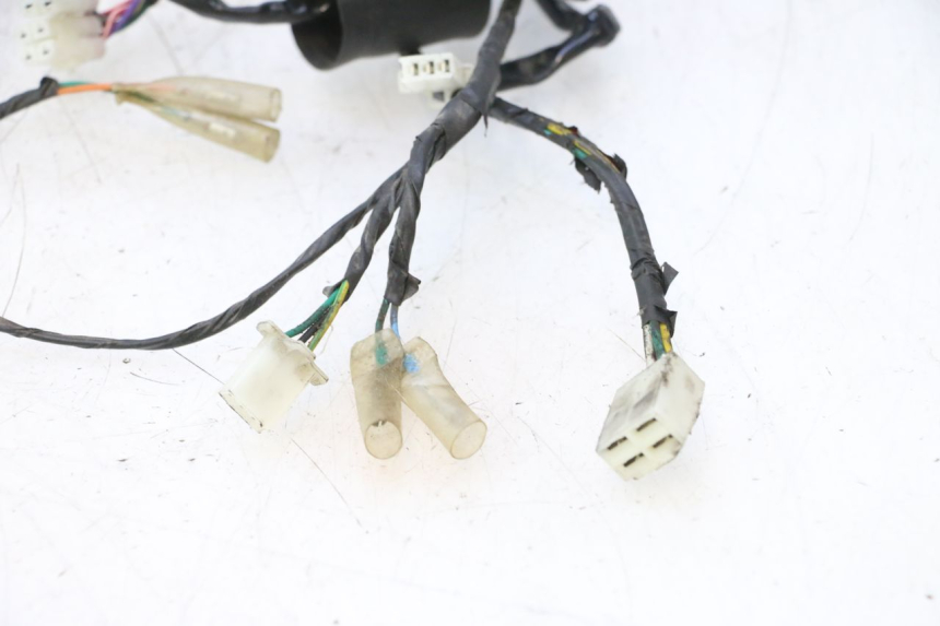photo de CABLEADO JM MOTORS OLDIES 4T 50 (2010 - 2020) - Zoom sobre los componentes