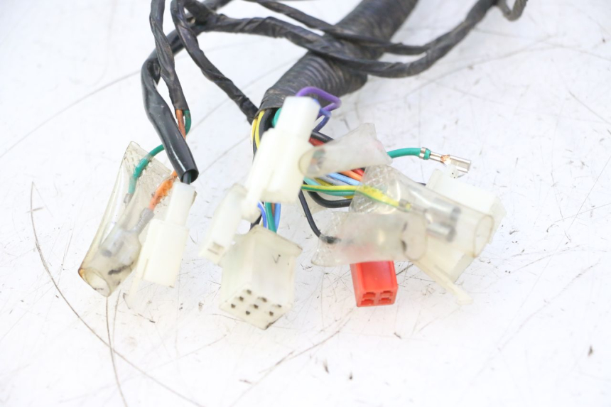 photo de CABLEADO JM MOTORS OLDIES 4T 50 (2010 - 2020) - Primer plano de alta resolución