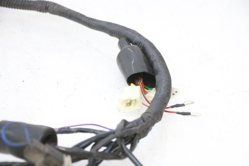 photo de CABLEADO JM MOTORS OLDIES 4T 50 (2010 - 2020) - Inspección visual detallada