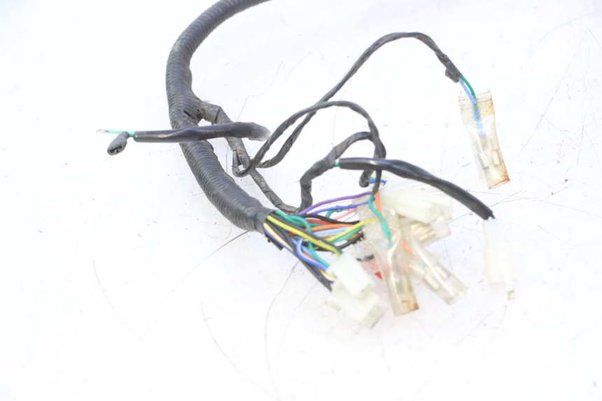 photo de CABLEADO JM MOTORS OLDIES 4T 50 (2010 - 2020) - Ángulo de visión alternativo
