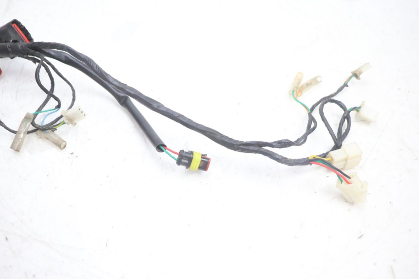 photo de CABLEADO JM MOTORS OLDIES 4T 50 (2020 - 2026) - Primer plano técnico