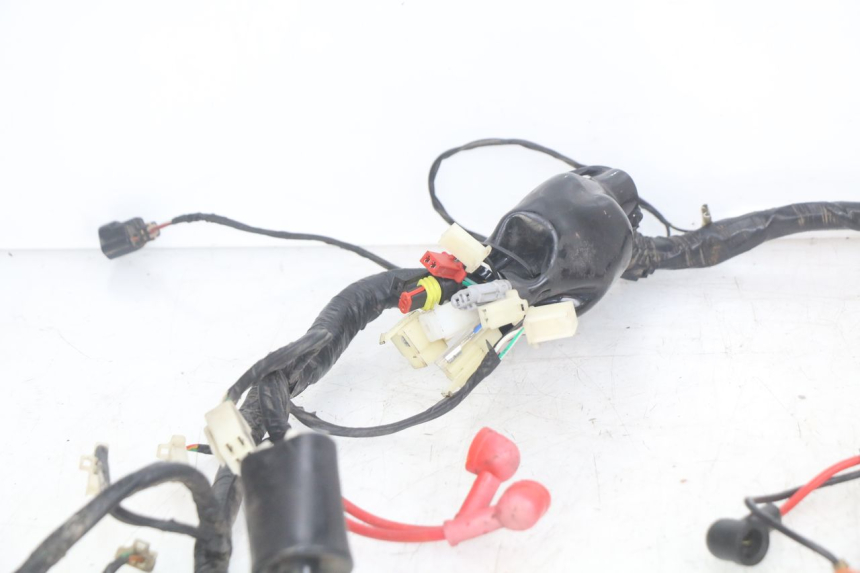 photo de CABLEADO JM MOTORS OLDIES RS 4T 50 (2021 - 2024) - Marcados y referencias originales