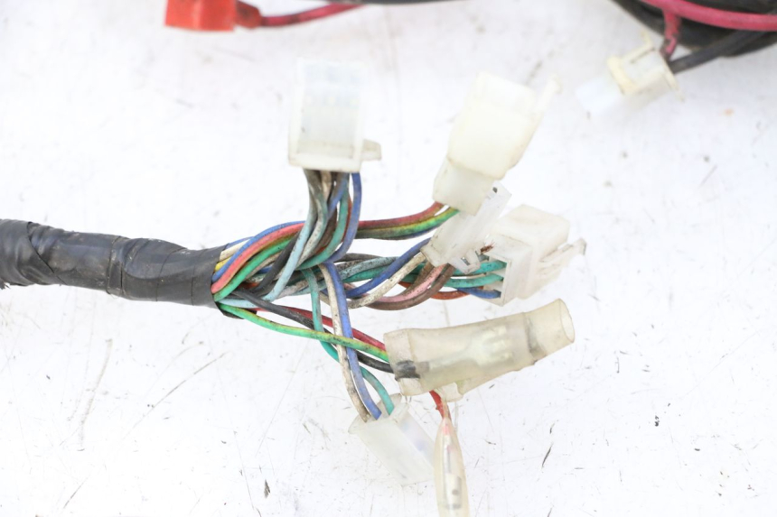 photo de CABLEADO IMF INDUSTRIE PACH 2T 50 (2009 - 2018) - Zoom sobre los componentes