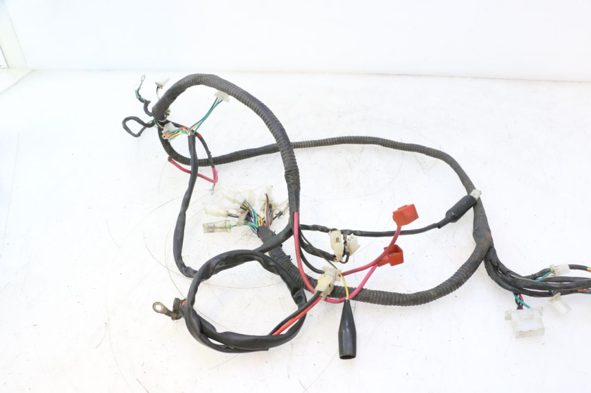 photo de CABLEADO IMF INDUSTRIE PACH 2T 50 (2009 - 2013) - Detalle de la pieza