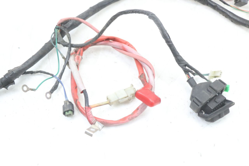 photo de CABLEADO PEUGEOT BELVILLE 125 (2017 - 2021) - Recambio usado revisado
