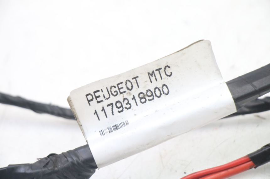 photo de CABLEADO PEUGEOT CITYSTAR 2T 50 (2018 - 2021) - Zoom estado de uso