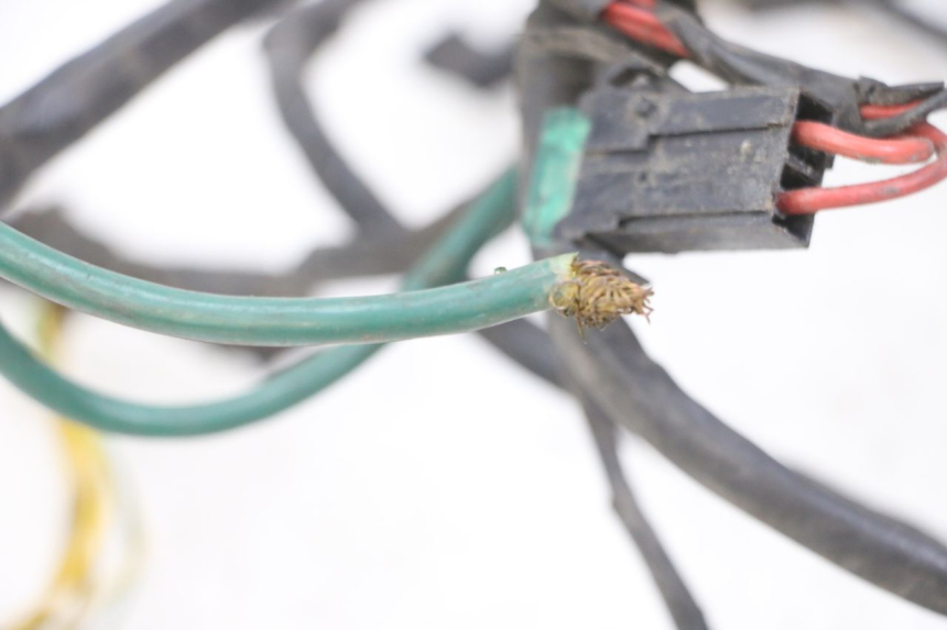 photo de CABLEADO PEUGEOT ELYSTAR 125 (2002 - 2007) - Zoom estado de uso