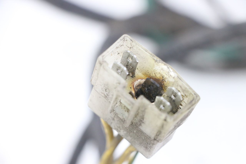 photo de CABLEADO PEUGEOT ELYSTAR 125 (2002 - 2007) - Otra perspectiva