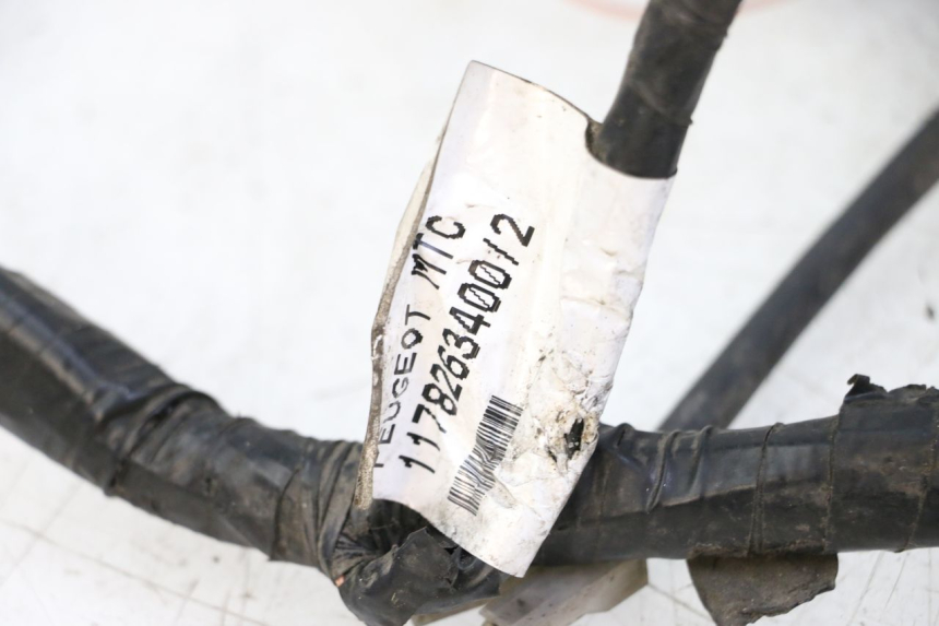 photo de CABLEADO PEUGEOT SATELIS 125 (2013 - 2018) - Primer plano técnico