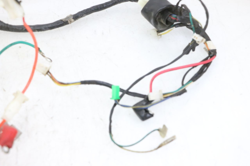 photo de CABLEADO PEUGEOT TWEET 4T 50 (2014 - 2019) - Recambio usado revisado