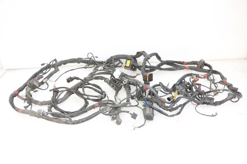 photo de CABLEADO PIAGGIO MP3 125 (2006 - 2014) - Vista principal